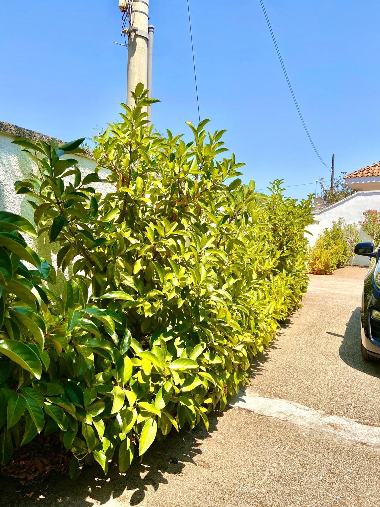 B&B Costa Azzurra ポルト・チェザーレオ エクステリア 写真
